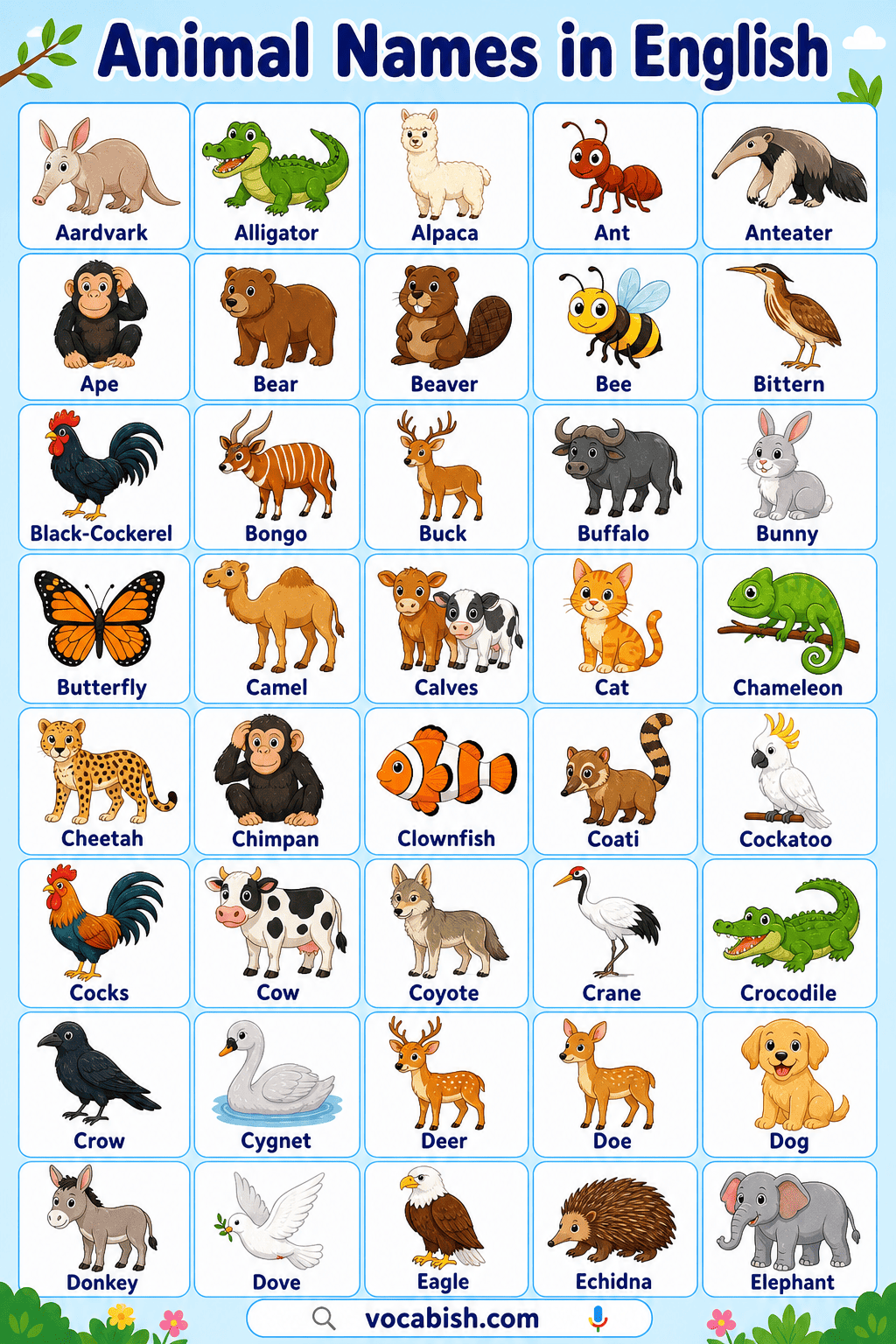 100 Animals Name with Pictures