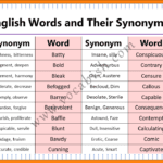 100 Synonym Words Examples with PDF
