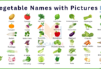 100+ Vegetable Names in English | Download PDF