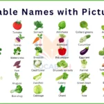 Vegetable Names with Pictures