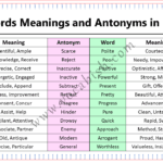 1800 English Words and Their Antonyms with PDF