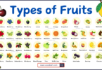 Fruits Vocabulary in English with Images and PDF