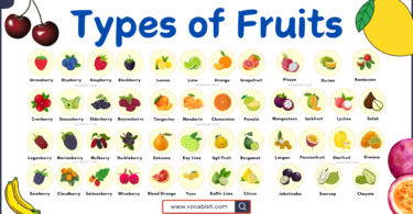 Fruits Vocabulary in English with Images and PDF