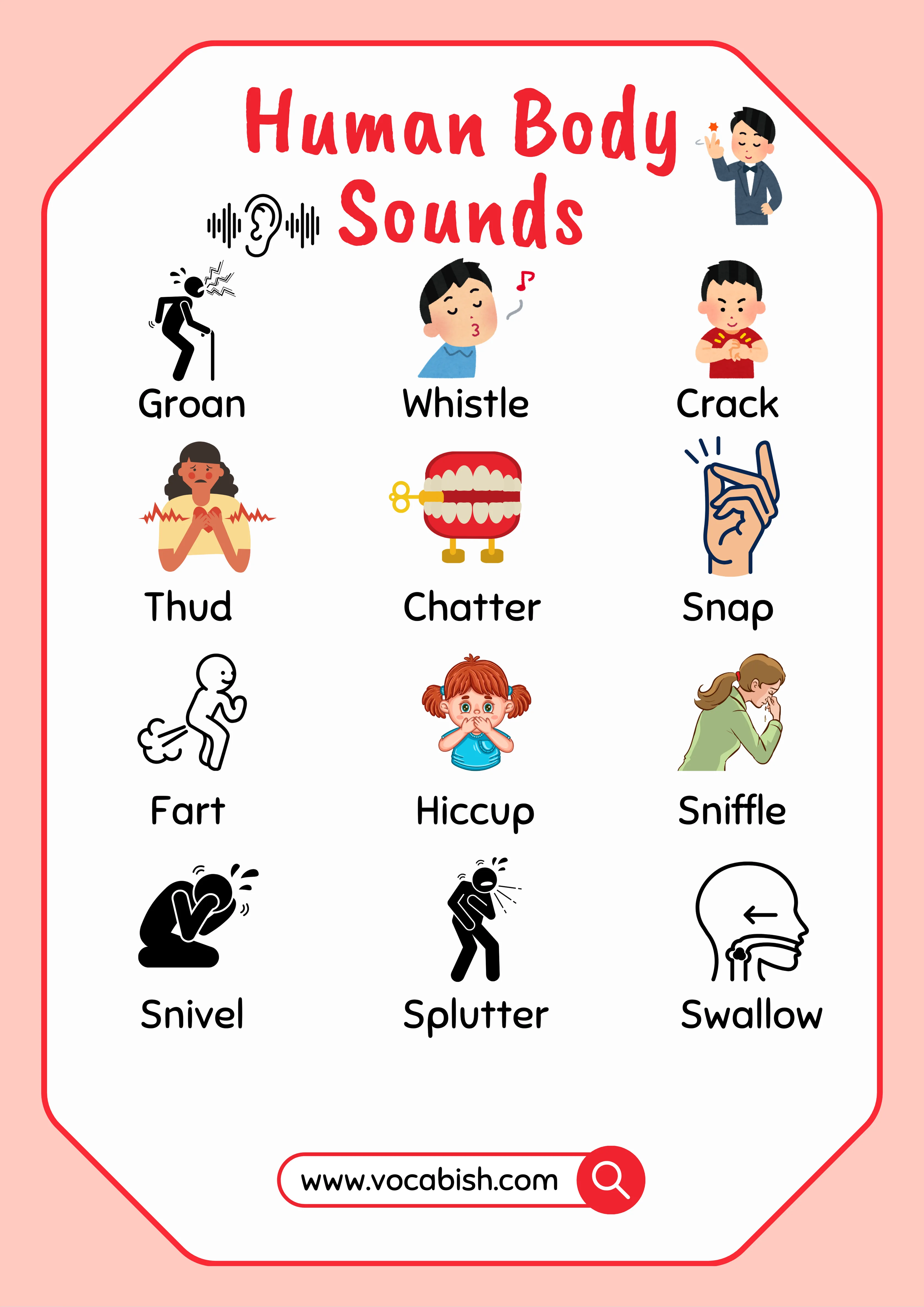 40+ Human Body Sounds in English with Pictures