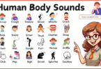 Human Body Sounds in English with Helpful Images