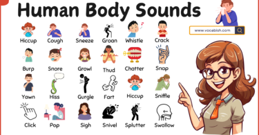 Human Body Sounds in English with Helpful Images