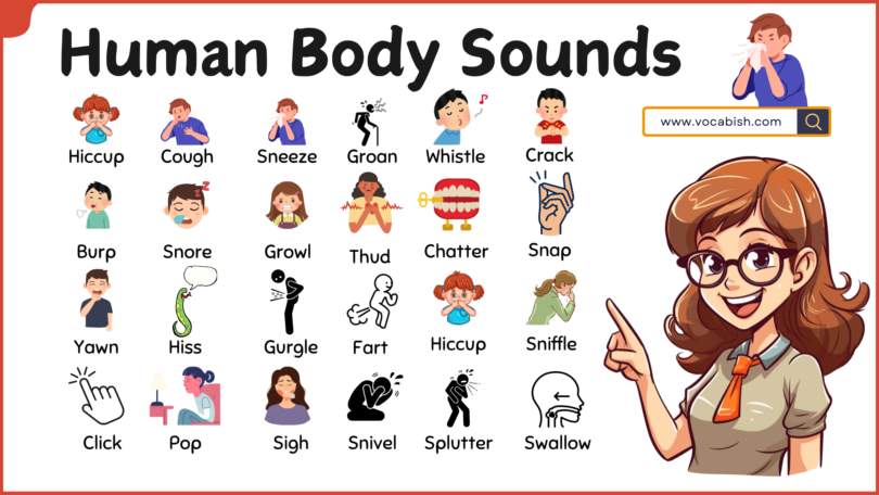 Human Body Sounds in English with Helpful Images