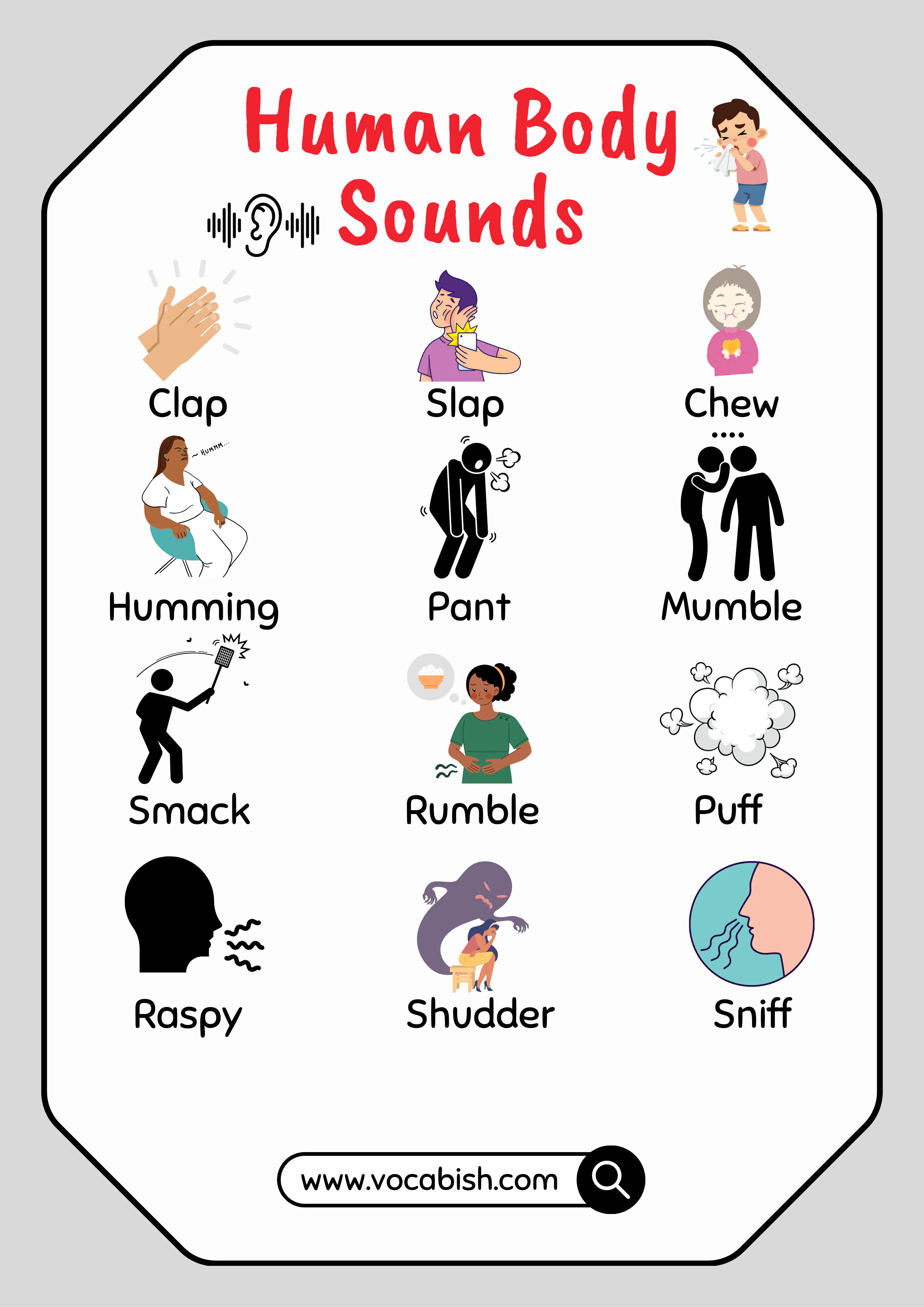 40+ Human Body Sounds in English with Pictures