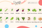 69 Vegetable Names in English with Images and PDF