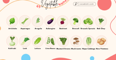 69 Vegetable Names in English with Images and PDF