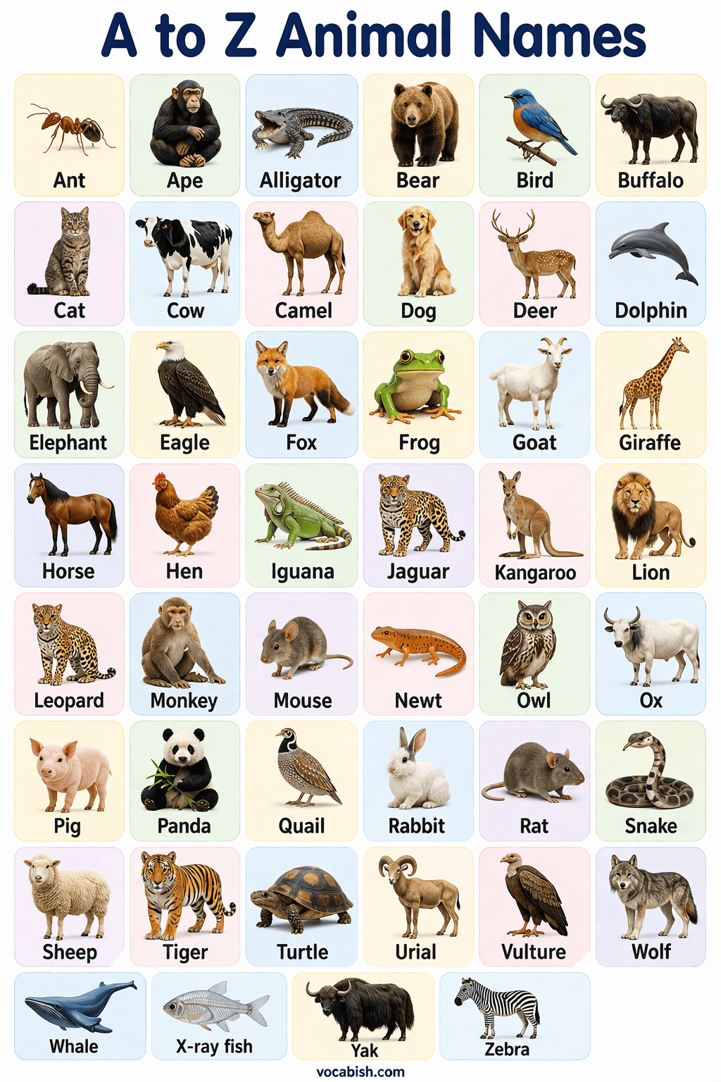 A to Z Animal Names with Pictures