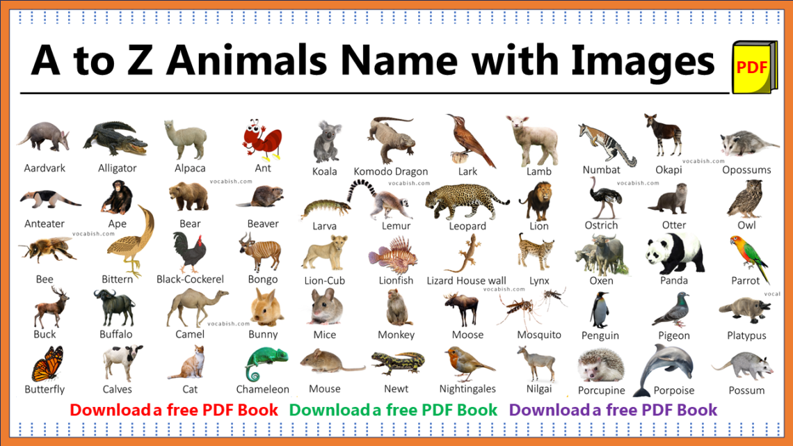 100+ A-Z Animal Names with Images and PDF