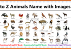 100+ A-Z Animal Names with Images and PDF