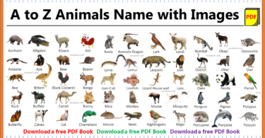 100+ A-Z Animal Names with Images and PDF