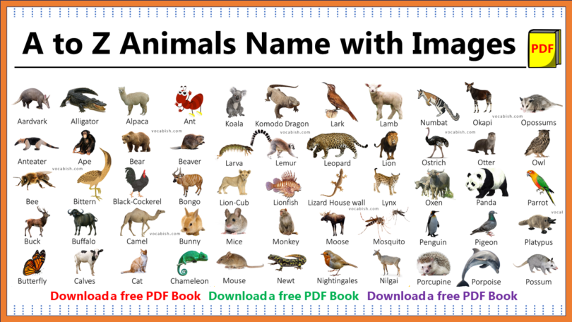 100+ A-Z Animal Names with Images and PDF