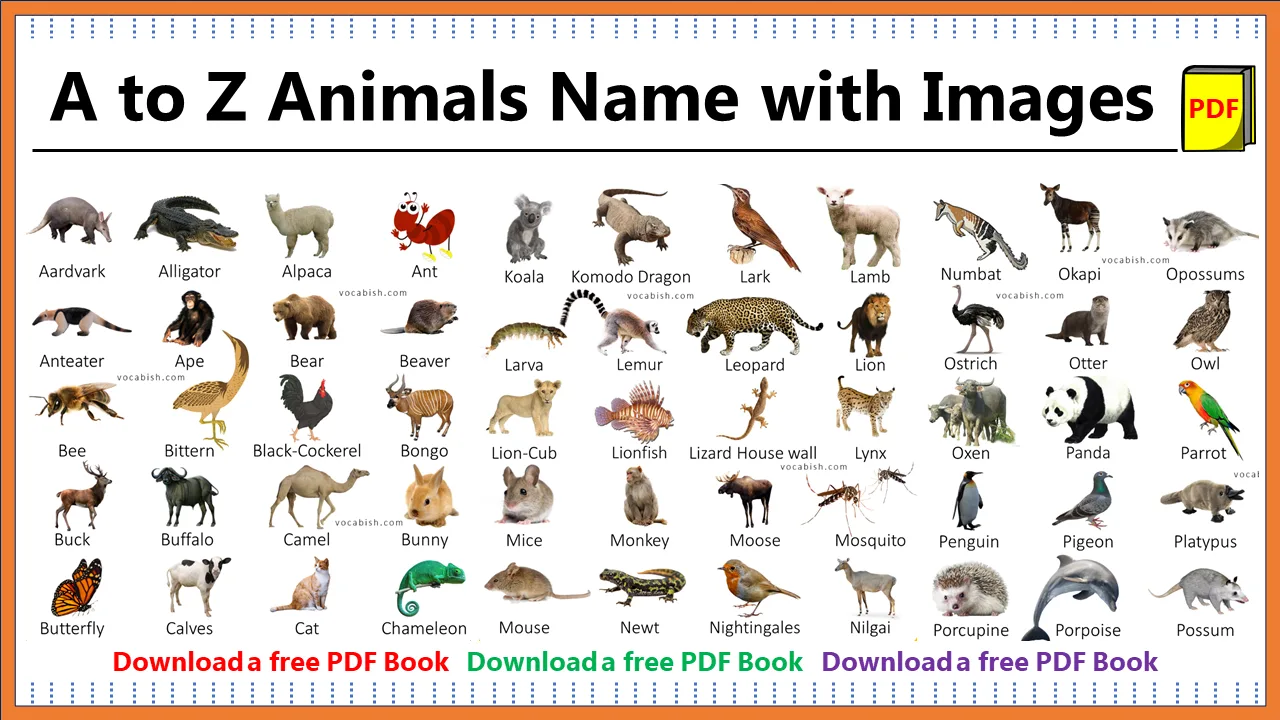 100+ A-Z Animal Names with Images and PDF