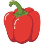 Bell Pepper