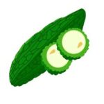 Bitter Gourd _ Bitter Melon