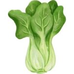 Bok Choy