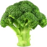 Broccoli is a Cruciferous Vegetable
