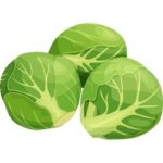 Brussels Sprouts is a Cruciferous Vegetable