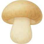 Button Mushroom