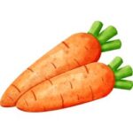 Carrot