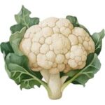 Cauliflower