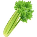 Celery