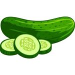 Cucumber