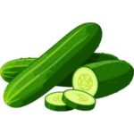 Cucumber is an Marrow Vegetable Variety.