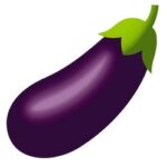 Eggplant _ Aubergine