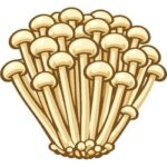 Enoki Mushroom