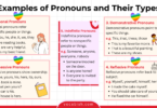 Examples of Pronouns and Their Kinds with PDF