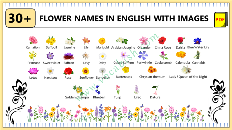 Flower Names with Urdu Meanings and Images | Download PDF