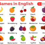 List of All Fruits and Their Types with Pictures
