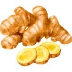 Ginger is an Root Vegetable