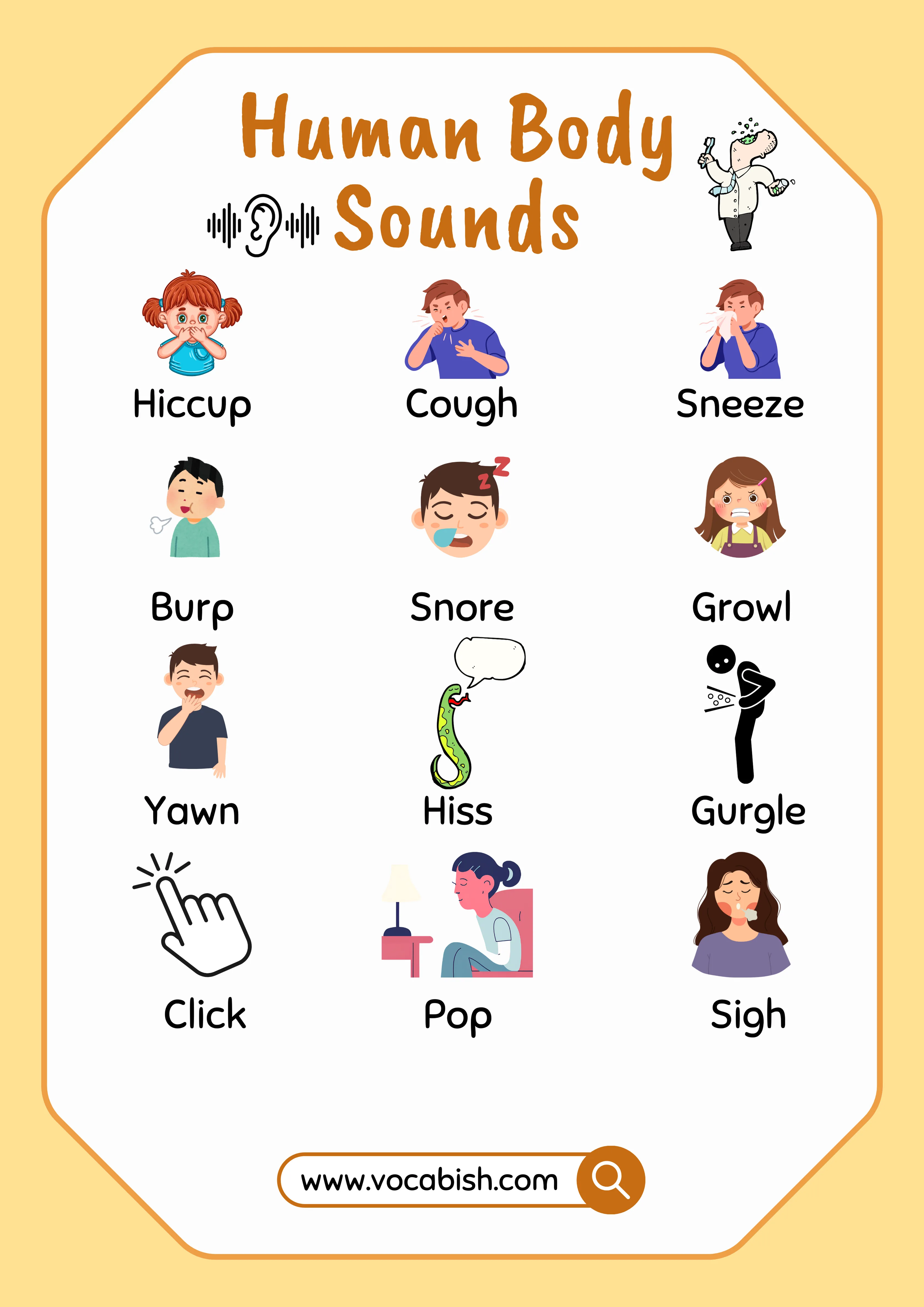 40+ Human Body Sounds in English with Pictures