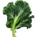 Kale Leafy Green Vegetables