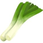 Leek
