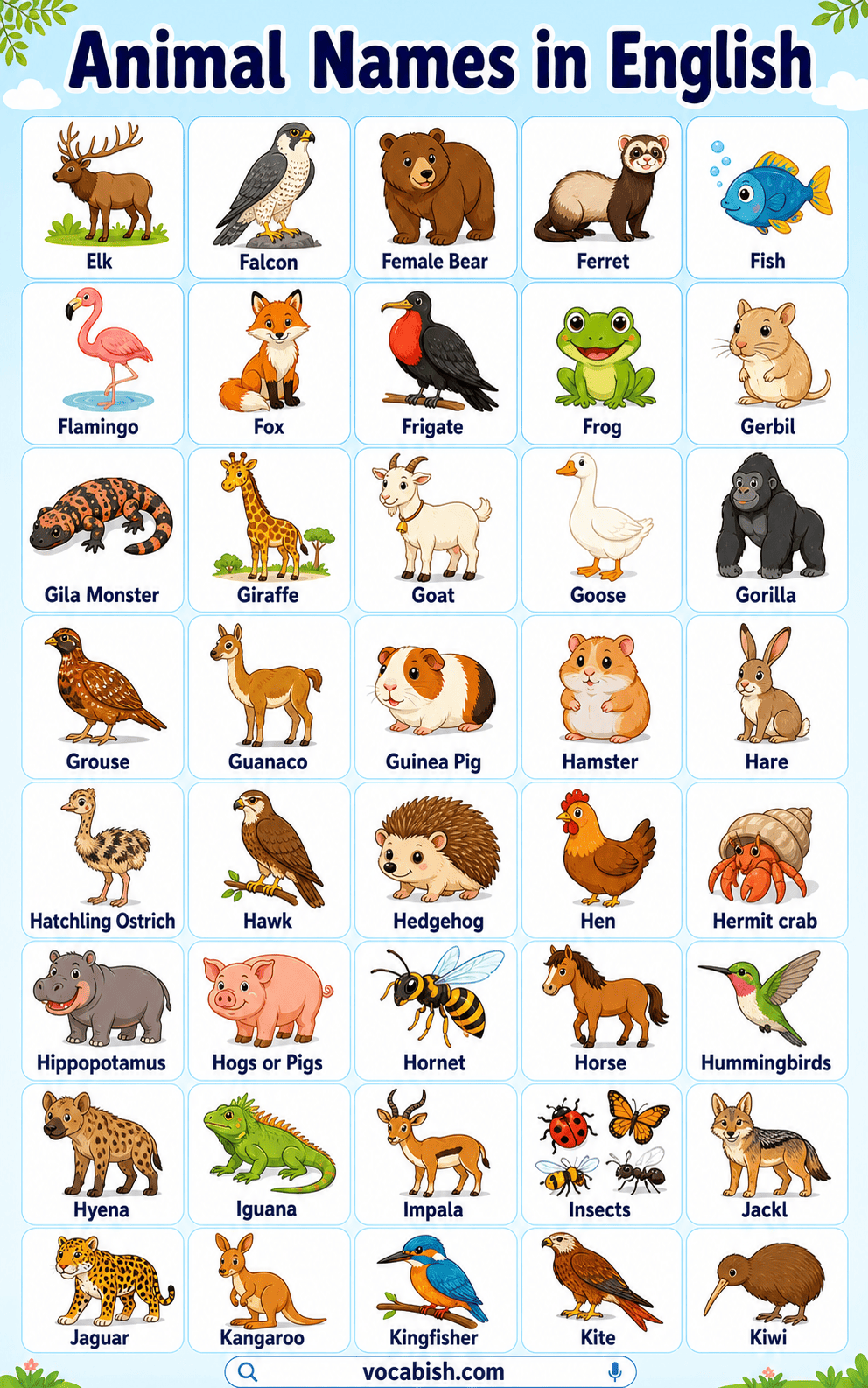List of Animals Name with Pictures