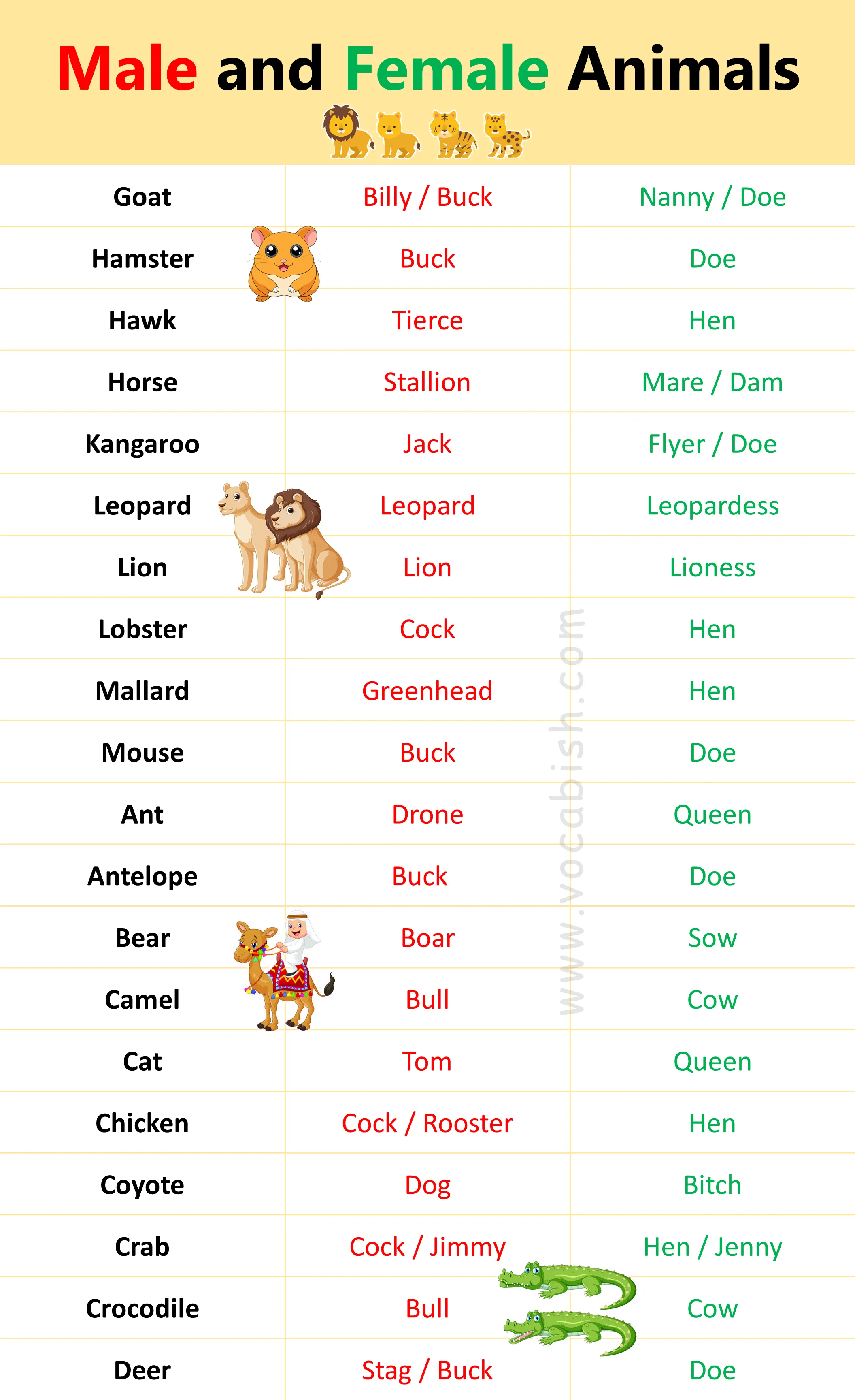 Male and Female Animals Name in English with PDF