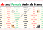 Male and Female Animals Name in English with PDF