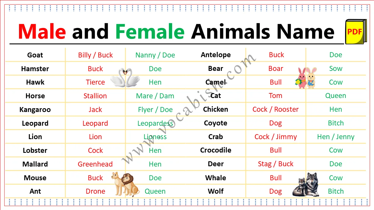 Male and Female Animals Name in English with PDF