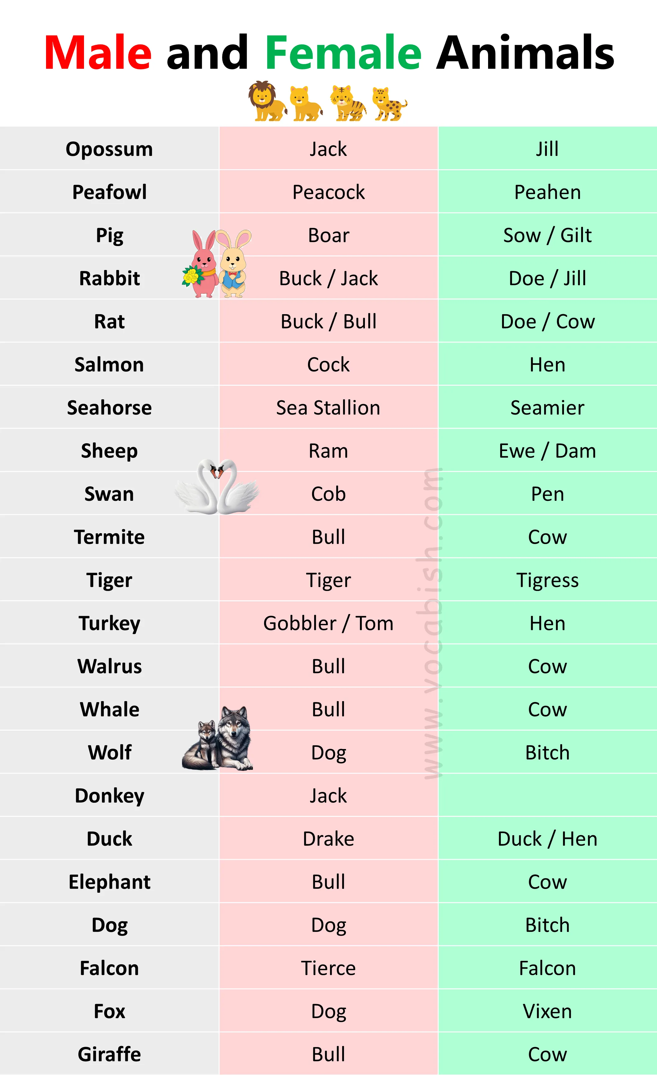 Male and Female Animals Name in English with PDF