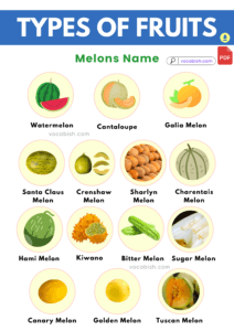 List of All Fruits and Their Types with Pictures | Vocabish
