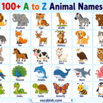 Names of Animals A to Z
