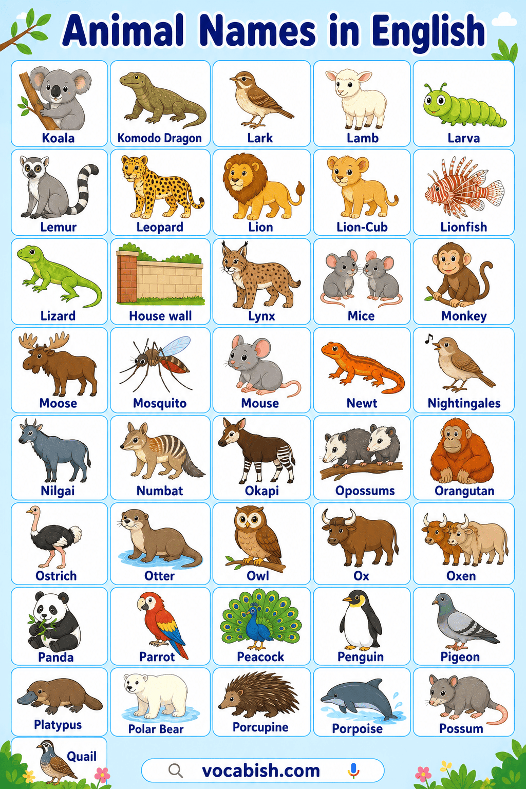 Names of Animals with Pictures