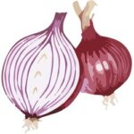 Onion is a Vegetable in the Allium Family.