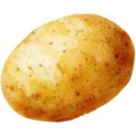 Potato